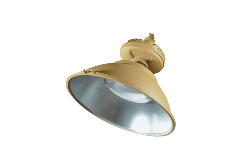 RLFD6110免维护节能防水防尘防腐工厂灯